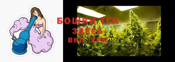 молекула духа Белоозёрский