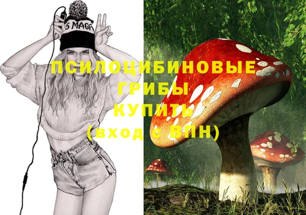 молекула духа Белоозёрский